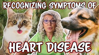 Diagnosing Heart Disease in Cats & Dogs