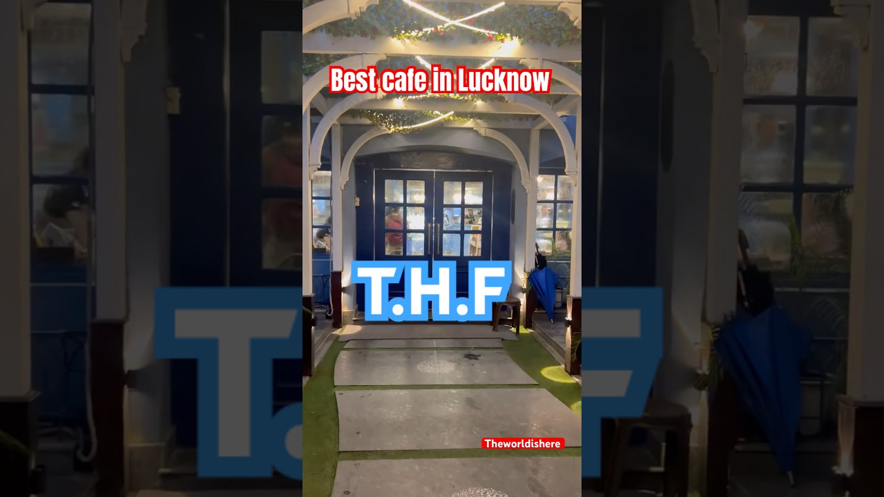 Best cafe in Lucknow | The hazelnut factory,T.H.F |best food in Lucknow | #thehazelnutfactory #viral