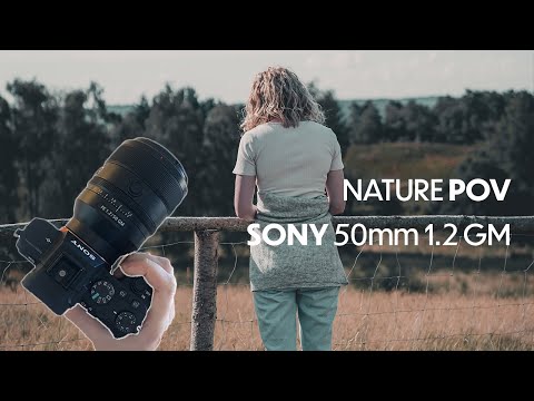 10 Minutes of Nature Photography POV in Denmark (Sony 50mm 1.2 GM)