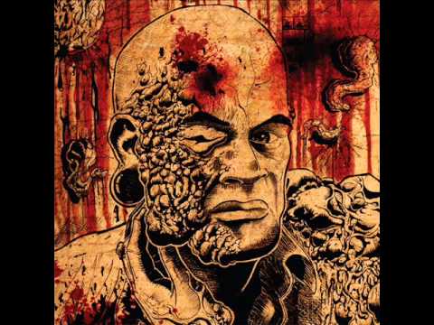 Mata Borrão - Montanha