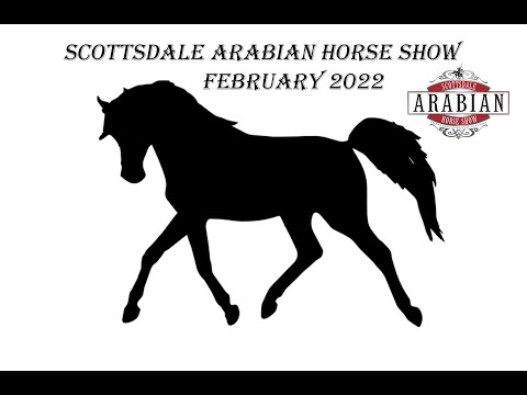 Arabian Horse Show - Scottsdale, Arizona - February 2022