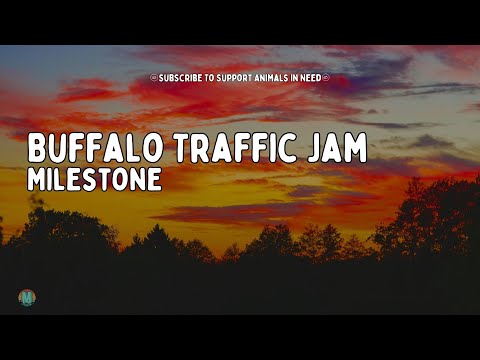 Buffalo Traffic Jam - Milestone