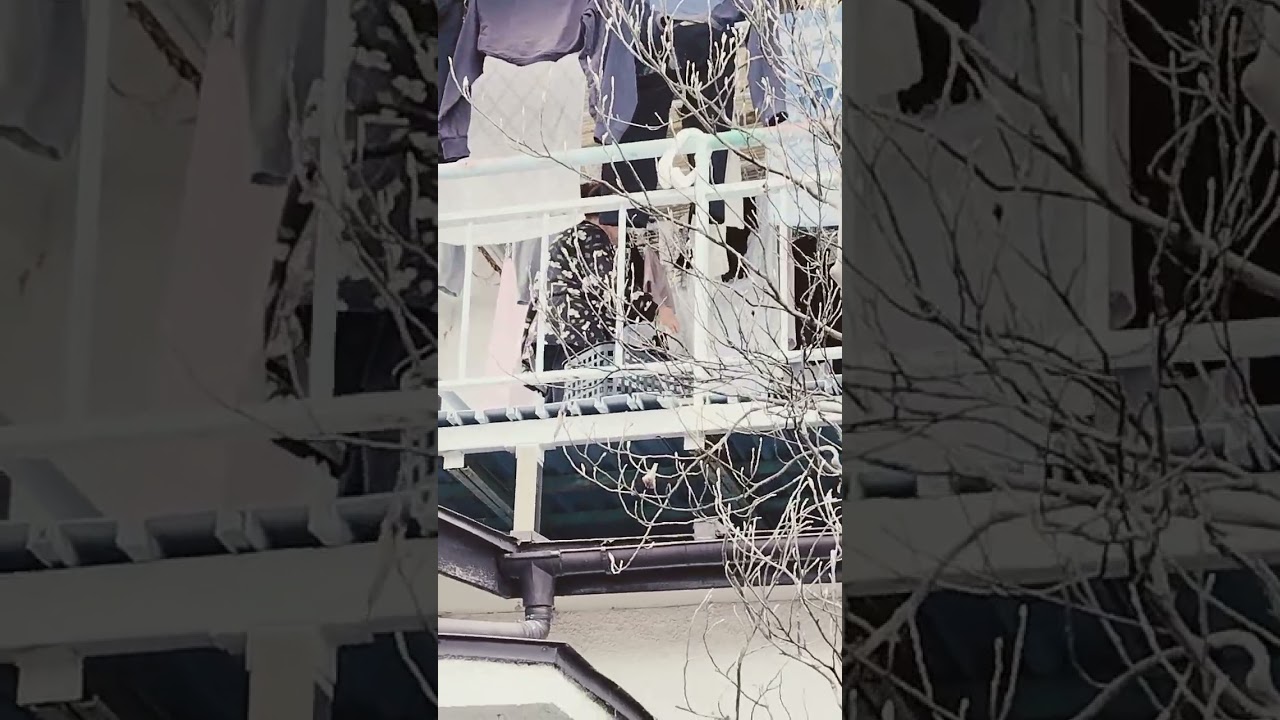 95才ユーチューブばーちゃん洗濯物しまってます😊