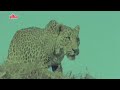 Kartavya HD Movie Dharmendra Movie Action Ranjit Kumar Movie