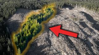 Riparian Management in Forest Operations