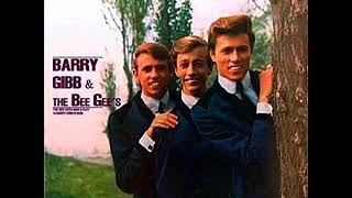 The Bee Gees Wine and Women 1965