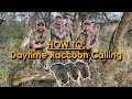 Daytime Raccoon Calling - How To Hunt With An Electronic Caller (Lots of Action!)