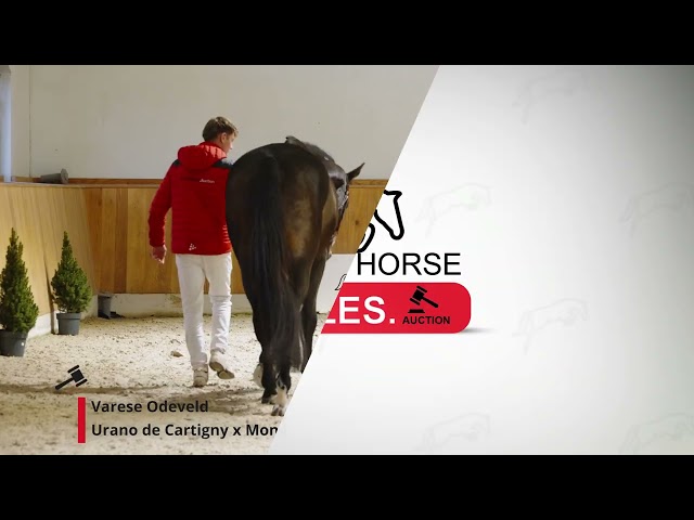 Varese Odeveld