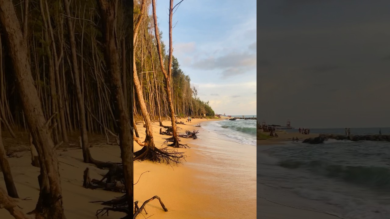 YouTube Short thumbnail