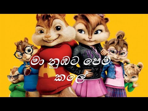 Maa Nubata Pemkale ( මා නුඹට පෙම් කලේ ) Song / Chipmunks Version - Dinesh Tharanga