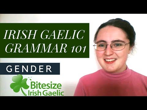 Irish Gaelic Grammar 101 | Gender