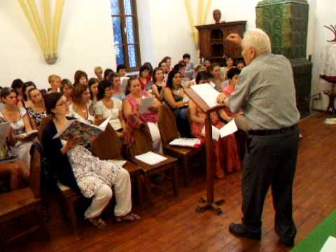 Itt van szívem - Birtalan József