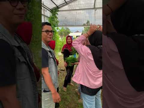 Dokumenter KKU Kelompok 49 Universitas Muhammadiyah Pontianak 2024 di Desa Sungai Nipah