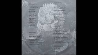 Download lagu Suffocation - Effigy of the Forgotten [Vinyl] mp3