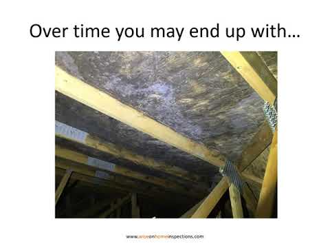 Fireside Chat Episode 7 - Attics