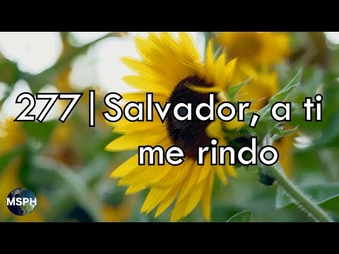 HA62 | Himno 277 | Salvador, a ti me rindo