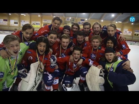 ®Final-2016®Svenska cupen-P20®«Edsbyn»-«Villa Lidköping»-4:2(2:2)