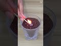 Flies and mosquitoes will flee from your house with this easy homemade recipe
