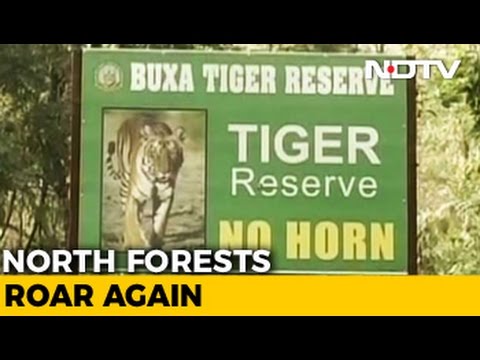 6 Tigers From Assam To Be Introduced In West Bengal's Buxa Reserve