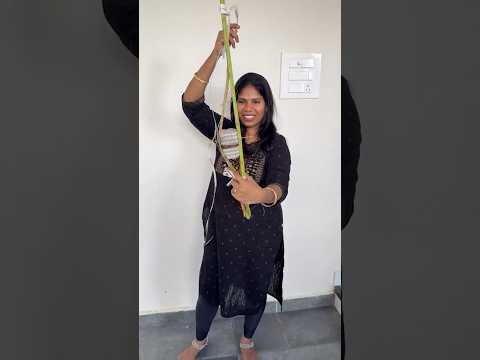 கார்த்திகை தீபம் Celebration Mini VLOG 🥰| Night View 😍| Sangeetha Vinoth | #shorts