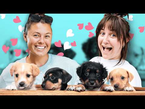 I Want A New Dog...What Should I Get?