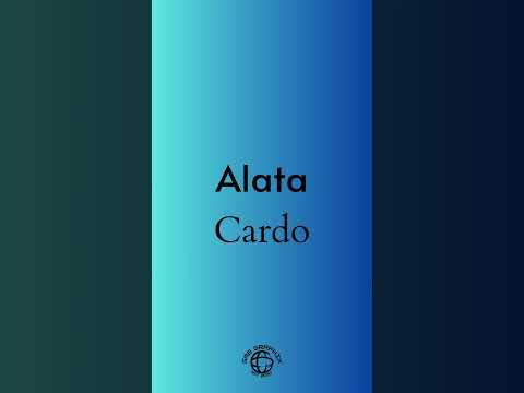 Perfect Font Pairings: Part 1 ✨🖋️ Uncover the best combos for stunning designs! #FontPairings