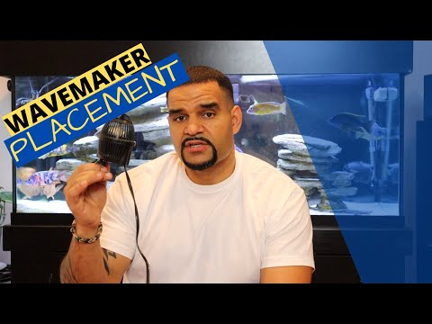 The BEST Wave Maker Position for Perfect Water Movement