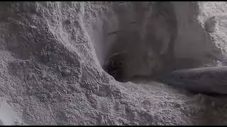 Vacuum Conveyor for Powder and Granules | Efficient Material Transfer 