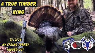 Workin' a HENNED UP GOBBLER to 25 yards on MOTHERS DAY!