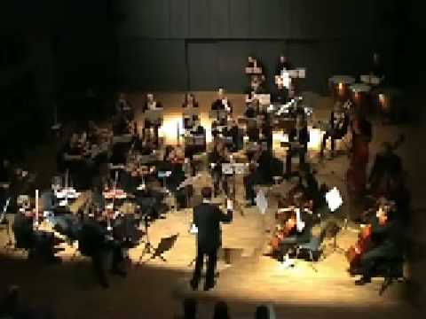 VAUSO 2009 Joseph Haydn: (1) Symfoni nr. 100 i G-dur (Militærsymfonien), 1. sats: Adagio-Allegro