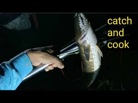 Homemade speargun | spear FISHING | GIANT SNAKEHEAD |