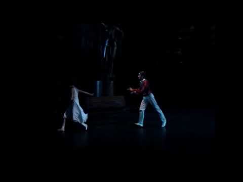 The Bright Stream - Ekaterina Krysanova & Andrey Merkuriev