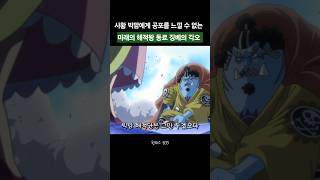 [전율] 사황 빅맘에게 '공포'를 느끼지 않는 징베의 역대급 각오... "해적왕의 동료가 아니다!!!" 👑