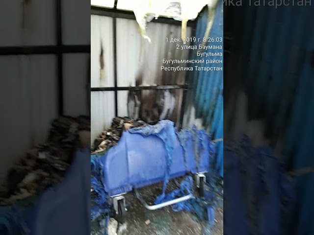 Актуаль видео