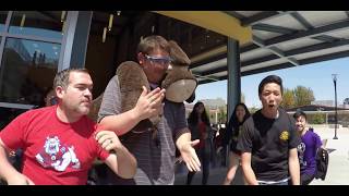 Cupertino High School Lipdub 2015