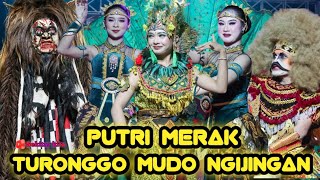 Download lagu Garapan Baru || Putri merak Turonggo Mudo Ngijingan  Live BandungGede Kedu Temanggung mp3