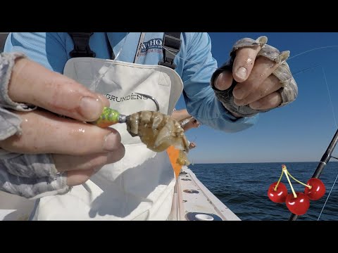 HOW TO BAIT A BLACKFISH JIG  TAUTOG