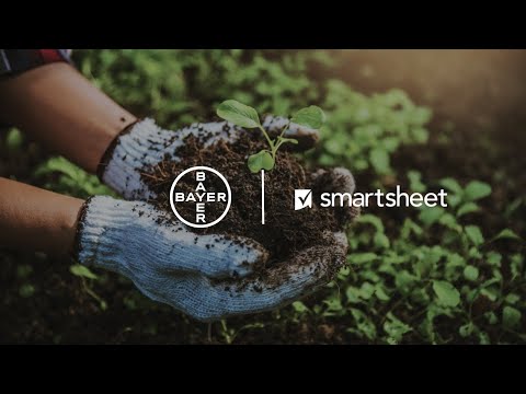 Bayer gains real-time visibility with Smartsheet, saving countless hours