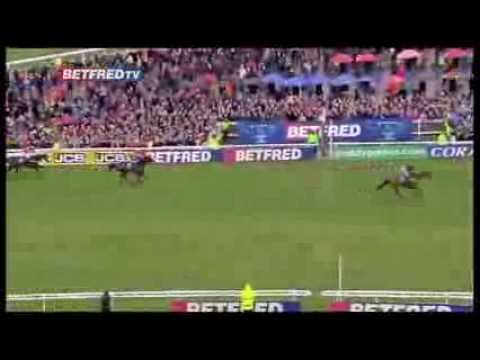 Can Bobs Worth Make It A Back To Back Gold Cup Victory - Cheltenham Preview