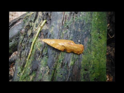 Arrowhead Hunting - Unusual Points and an Old Wagon Wheel Video