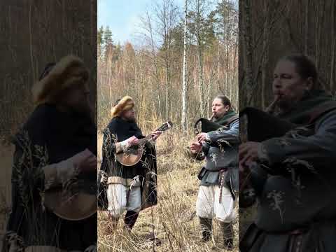 Lity Taler - Do Ciebie Kasiuniu (live)