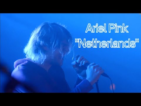 Ariel Pink - Netherlands (Remastered)│Live at Pitchfork Music Festival, Paris (2015)