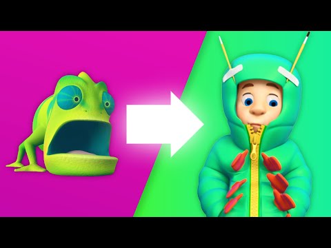 The Lost Chameleon Quest! | The Fixies | Animation for Kids - Kingdom Kids Zone, Little Learners - The Fixies