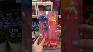 Download lagu Bunga Mawar Tangkai LED, Indah dan Berkilau di Malam Hari! 🌹✨ #HasansIndonesia mp3