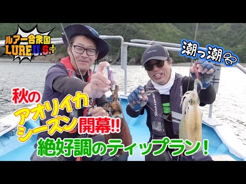 秋のアオリイカシーズン開幕！！絶好調のティップラン！（ルアー合衆国プラス/2023年11月11日放送）