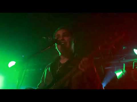 Guardianes del Amor de Arturo Rodríguez - El Perro, El Gato y Yo "En Vivo" (Video Oficial)