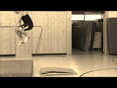 Sport Theorie Bewegungslehre und Bewegungsanalyse Salto