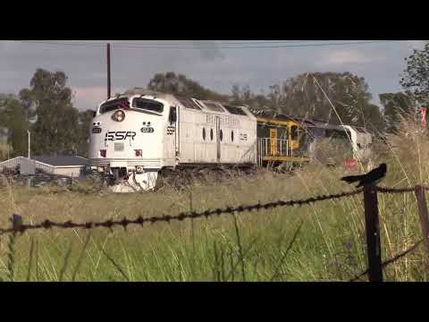 SSR streamlined lead grain train 7CM6 with CLF3 602 S311 CLP12 Coolamon to Harefield NSW.
