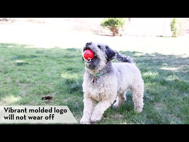 KONG كونق كرات سنقنتشر عالية المرونة كرتين حجم 6 س...