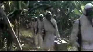 Contamination/Hell Of The Living Dead OST.Track 1.Connextion